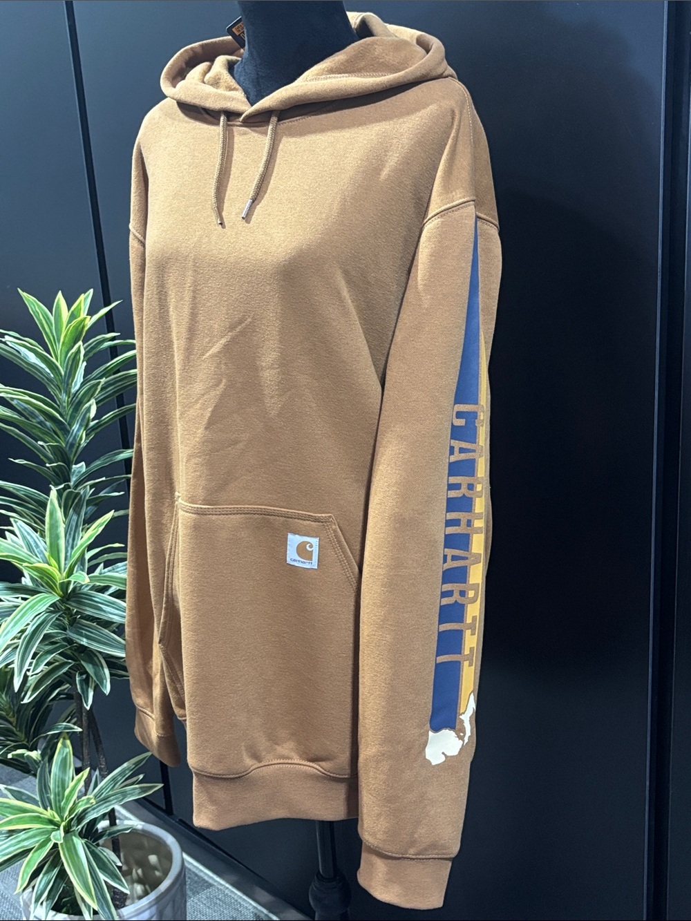 Carhartt Loose Fit Midweight,hoodie Michigan Graphic logo sleeve,fleece lined